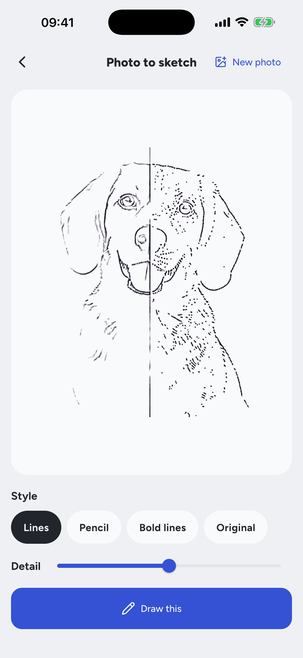 Your photo turned into a sketch